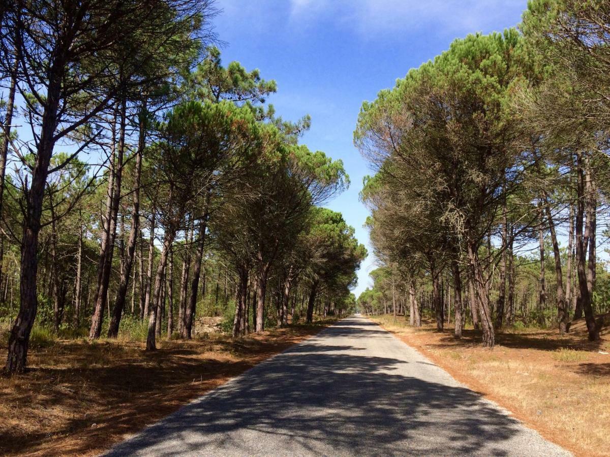 Bico Das Flores Praia de Mira Kültér fotó